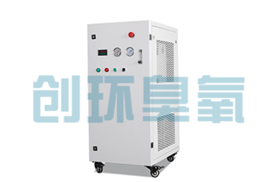 苏州石斑鱼养殖水质调控完整指南:臭氧发生器配置与操作步骤