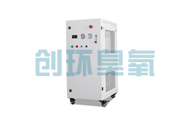 苏州比传统换水更高效?臭氧发生器在石斑鱼养殖中的水质净化原理解析